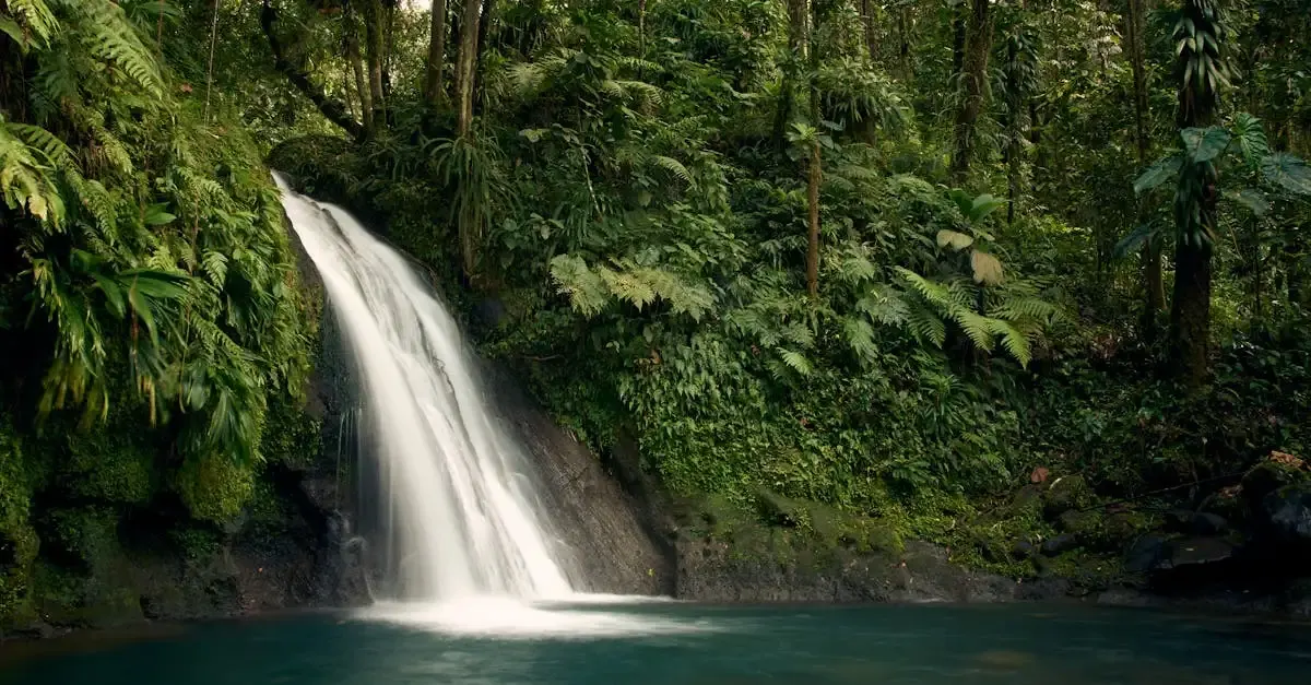 Carnet de voyage couverture guadeloupe