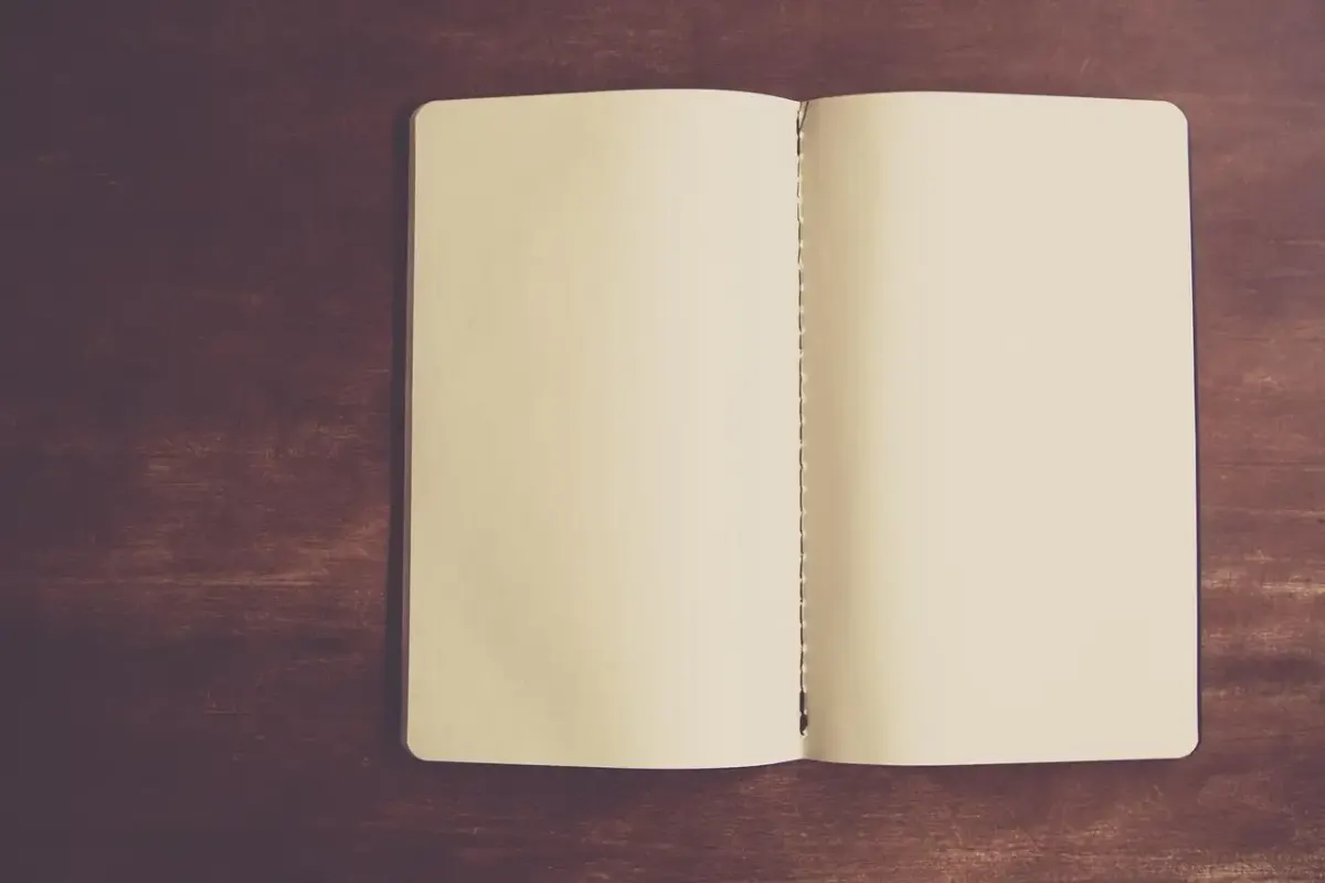 Carnet de voyage vierge a offrir