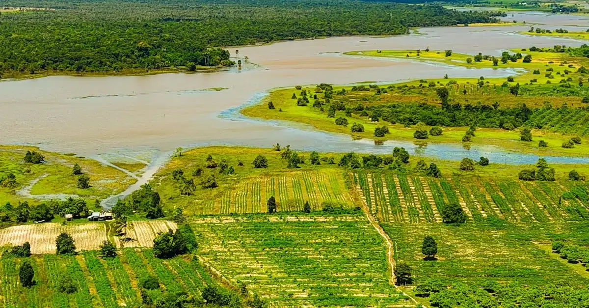 Cambodge carnet de voyage