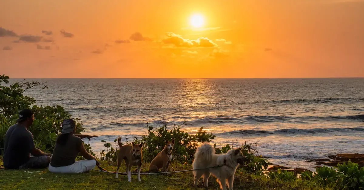 Carnet de voyage à Bali : Aventures et découvertes sur l'île.