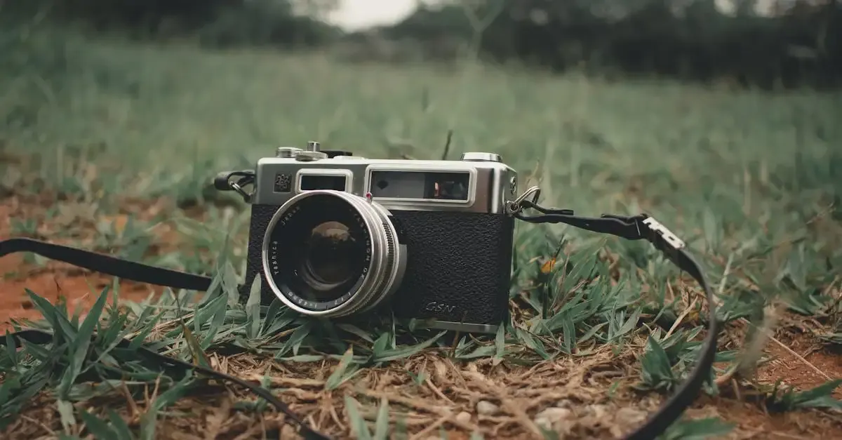 Carnet de Voyage : Résumé Complet du Film
