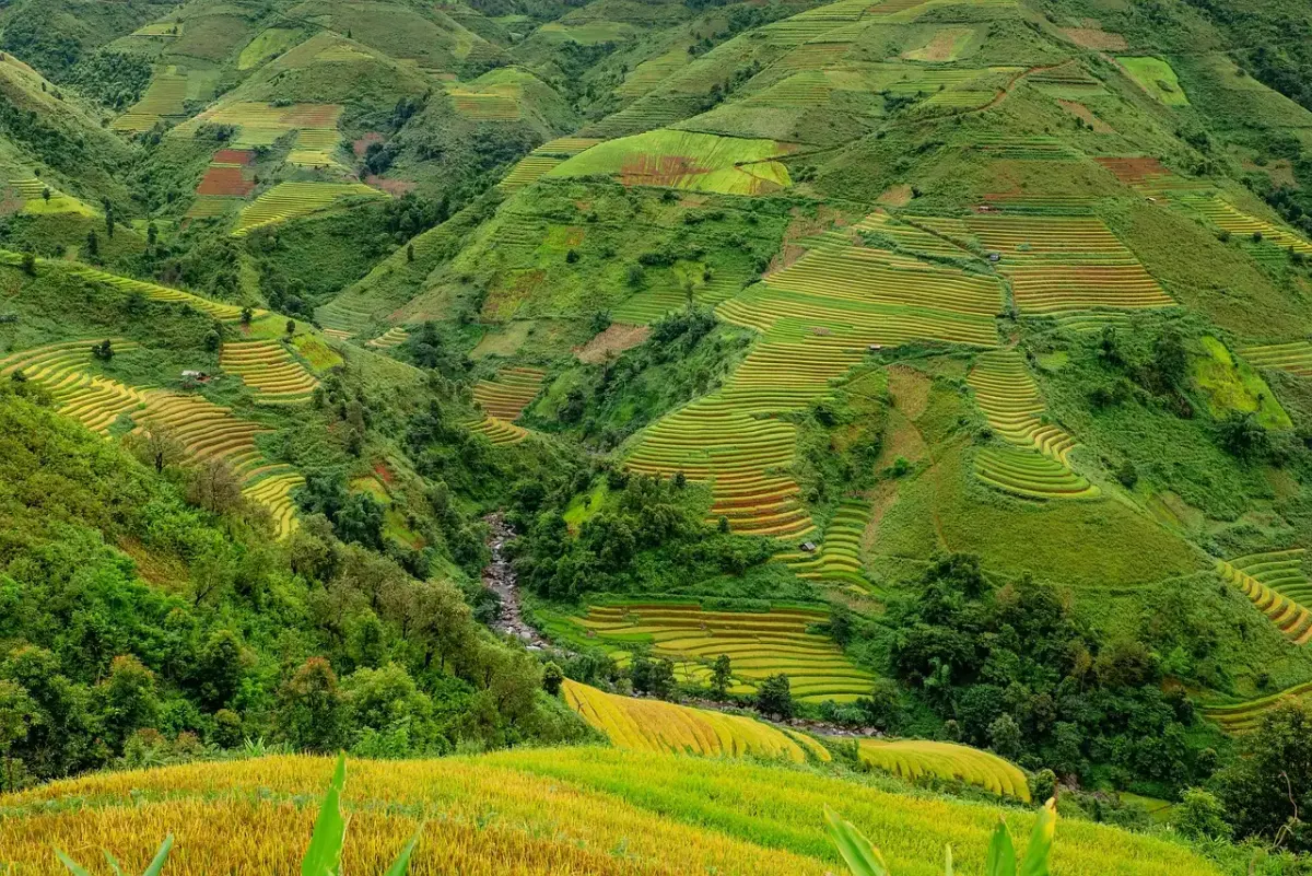 Récit de voyage synonyme